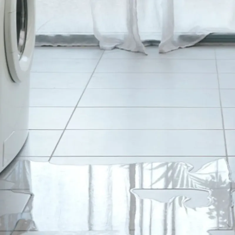 Appliance Leak Cleanup in Camden, NC