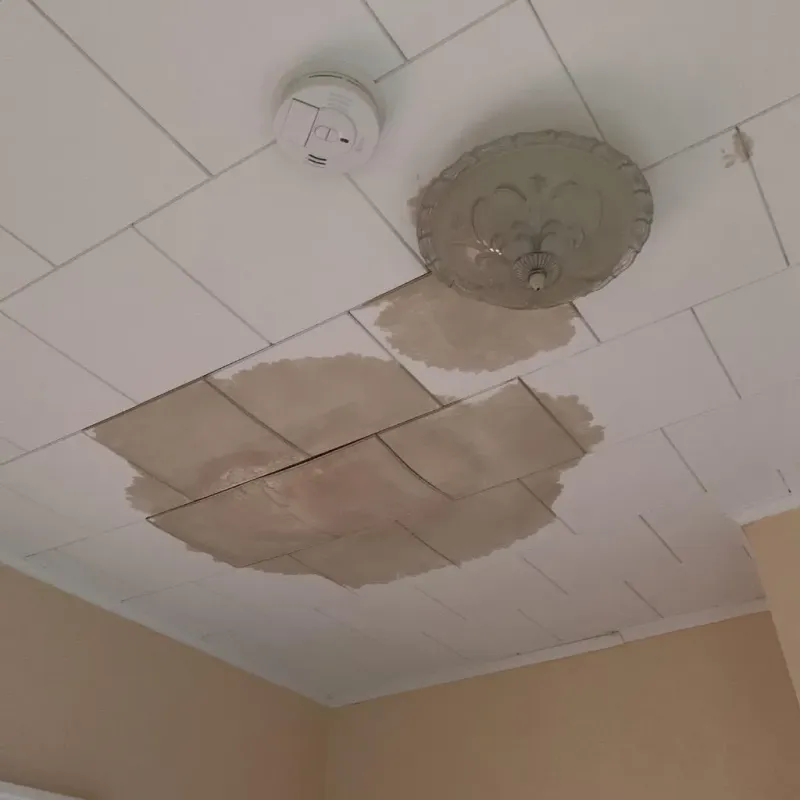 Ceiling Water Damage Repair in Camden, NC