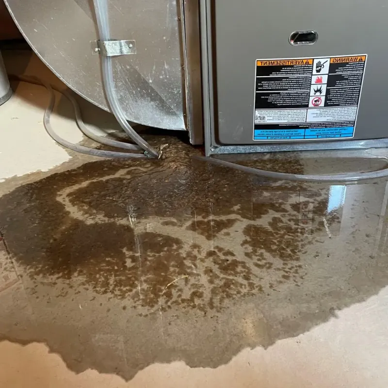 Pipe Burst and Leak Restoration in Camden, NC