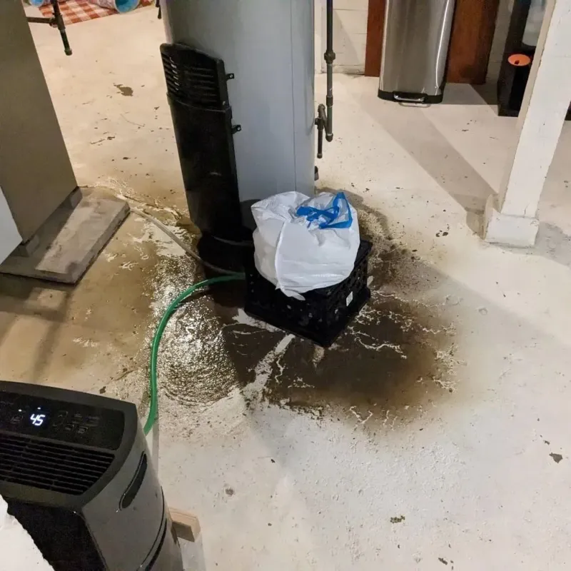Sewage Backup Cleanup Service in Camden, NC